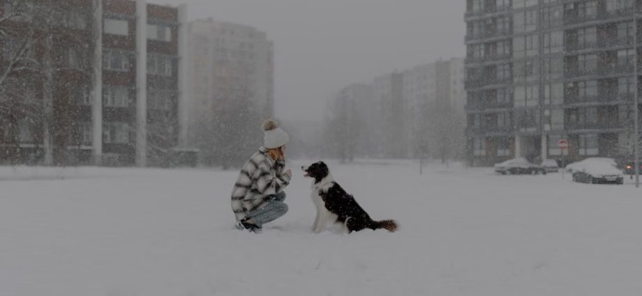 A girl kneels in the snow with her dog during a snowfall in an urban environment.